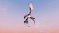 marcodekretser's picture