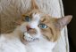 Tarym's picture