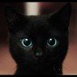 Miau's picture
